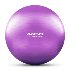 Piłka do ćwiczeń 65 cm NS-951 fioletowa